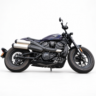 Sportster S